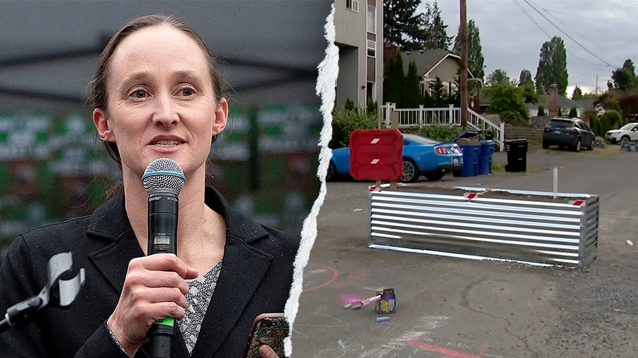 seattle-socialist-mayor-mocked-for-‘irony’-as-residents-build-walls-to-stop-out-of-control-shootings