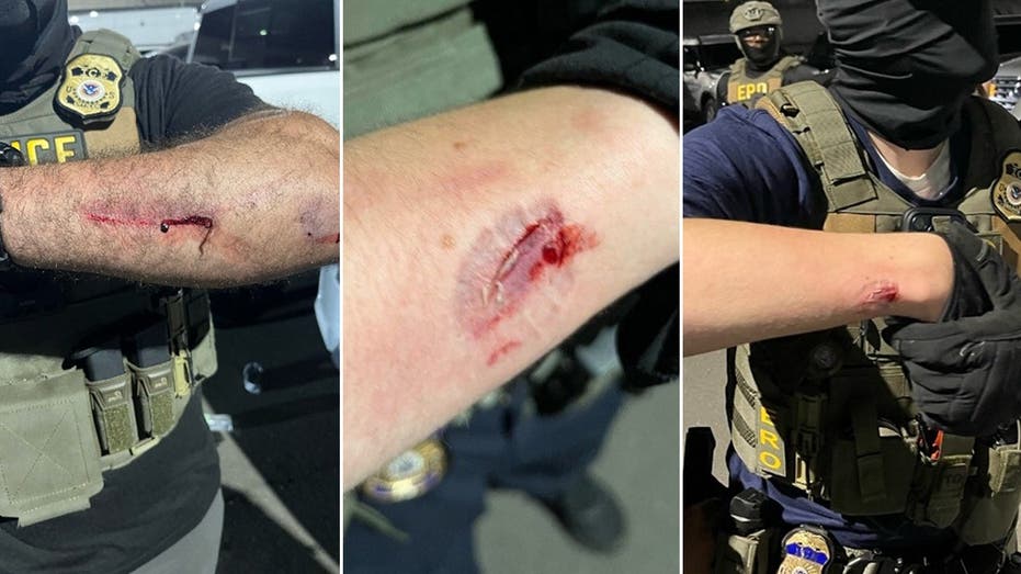 anti-ice-agitator-charged-with-allegedly-biting-officers-during-delaney-hall-clashes