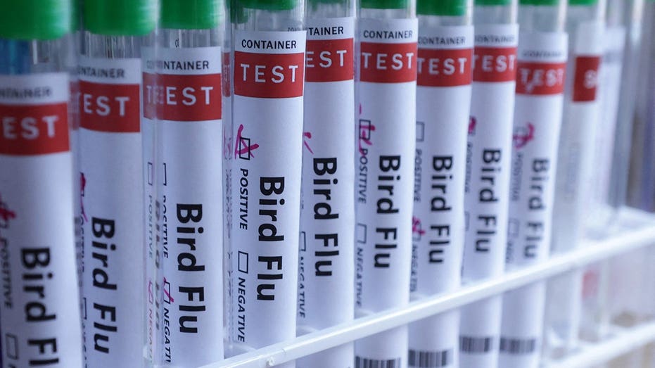 h5n1-bird-flu-confirmed-in-australia-for-the-first-time,-meaning-virus-has-now-reached-every-continent