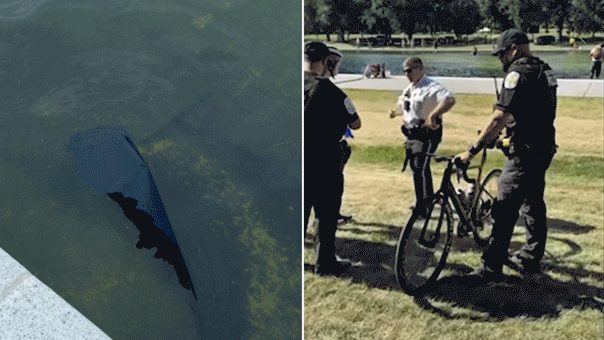 former-olympian-among-those-charged-with-vandalizing-reflecting-pool;-trump-says-basin-must-be-drained:-report