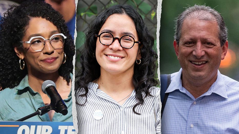 rising-socialist-stars-on-track-to-congress:-who-are-darializa-avila-chevalier,-brad-lander-and-claire-valdez?