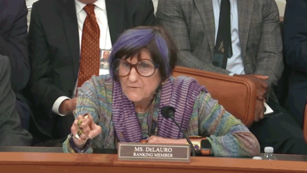 watch:-hearing-derails-as-purple-haired-dem-points-finger,-screams-at-chair-to-put-dhs-chief-‘in-his-place’