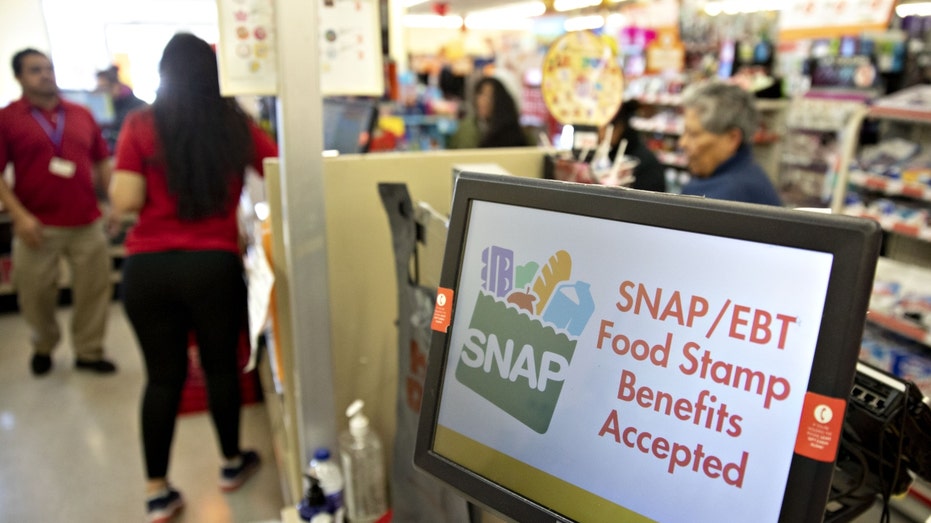 snap-food-stamp-fraud-has-nefarious-terrorism-links,-top-agriculture-watchdog-warns-congress