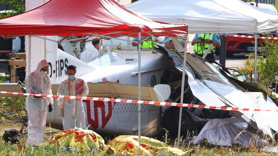 families-watch-in-horror-as-skydiving-plane-crashes-in-france,-killing-all-11-aboard