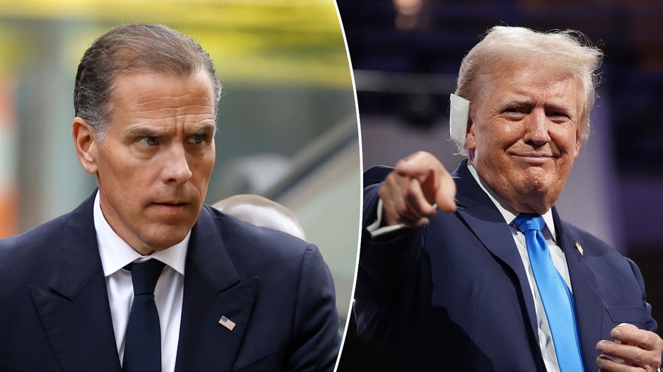 hunter-biden-could-mount-a-successful-white-house-bid-given-recent-democrat-picks:-trump