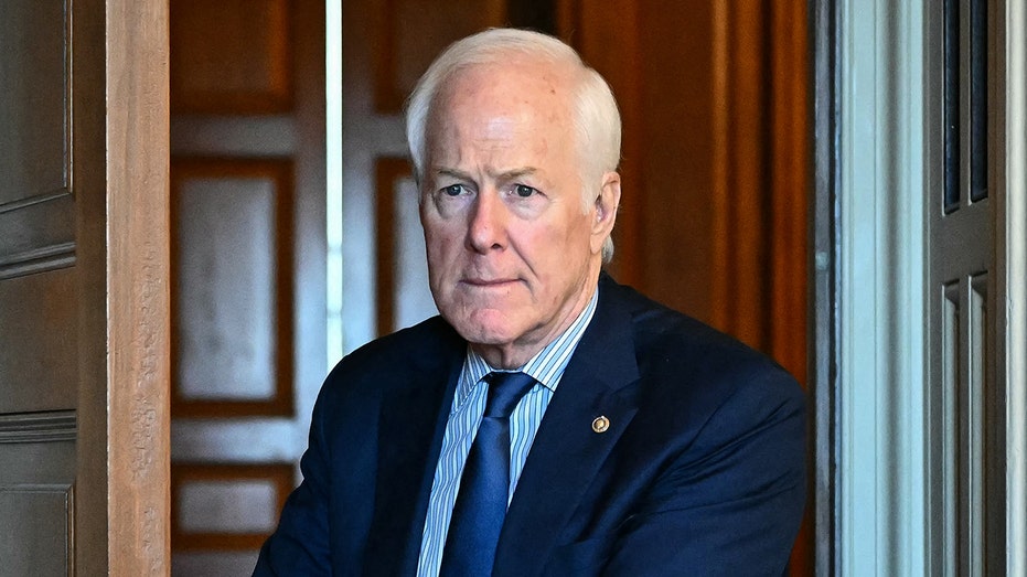 cornyn-predicts-trump-midterm-‘disaster,’-then-‘the-most-miserable-two-years-of-his-life’