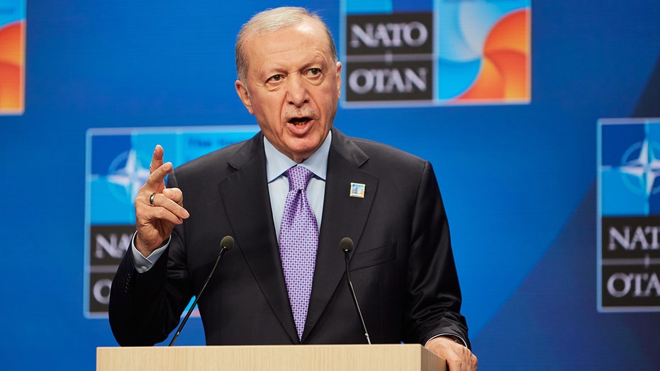 trump’s-turkey-arms-sale-proposal-sparks-congressional-questions-before-nato-summit
