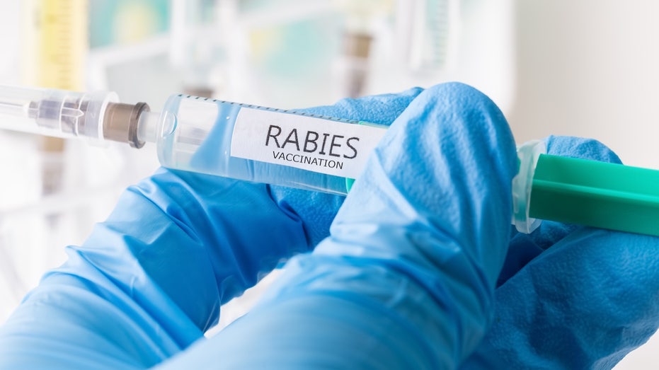 11-year-old-dies-from-rabies-after-bat-landed-on-his-face-while-he-was-sleeping