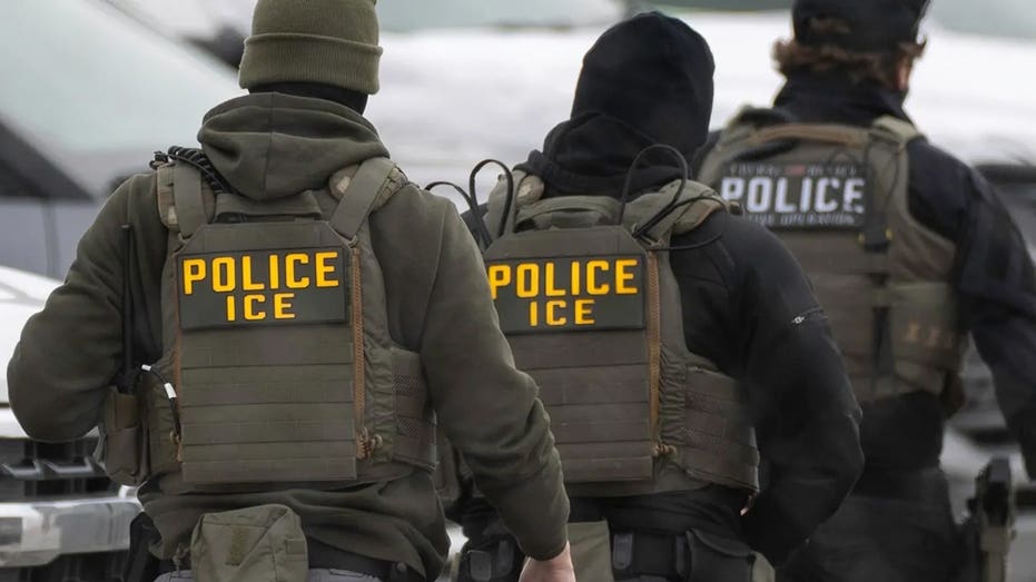 illegal-immigrant-top-dem-fought-to-free-turns-up-on-voter-rolls:-‘mockery-of-our-immigration-laws’