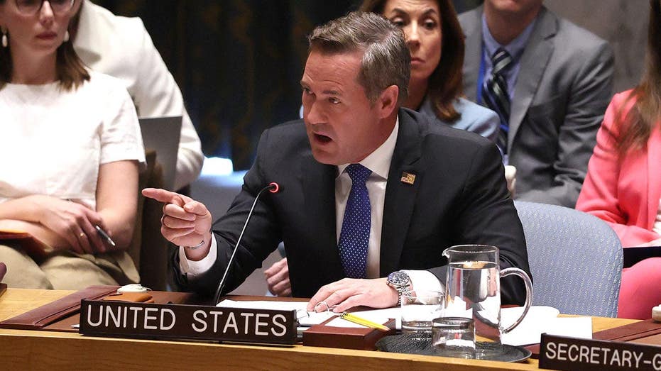 waltz-slams-france-after-stunning-social-media-attack-on-us-after-un-vote