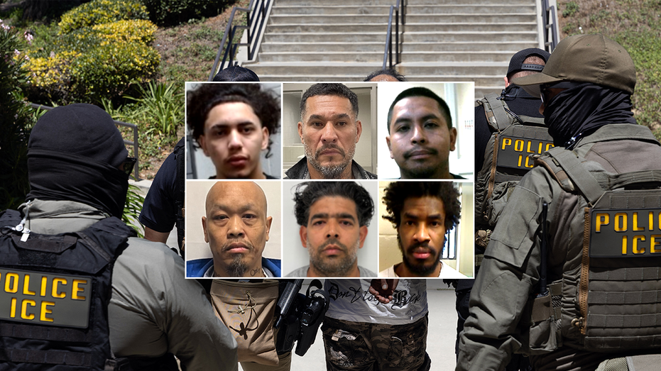 first-on-fox:-dhs-points-to-‘common-sense’-reason-for-collapsing-crime:-‘no-surprise’