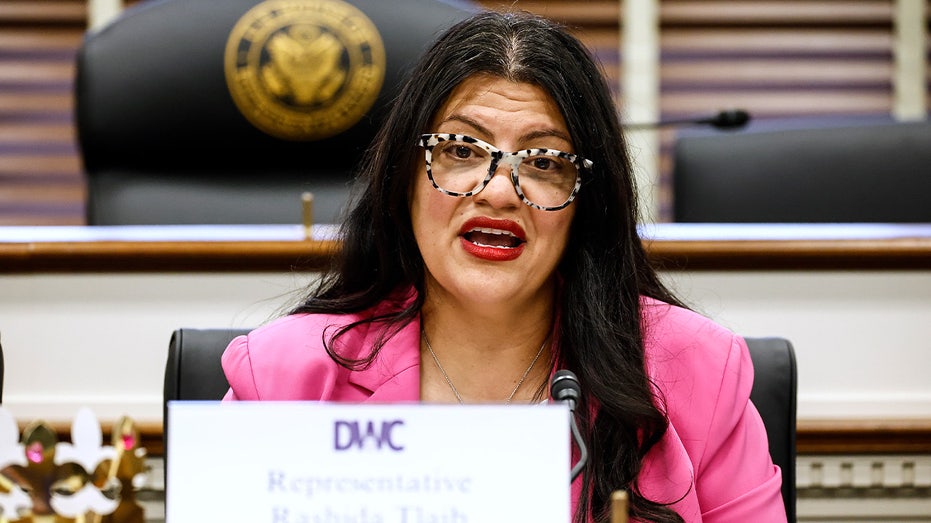 tlaib-under-fire-for-working-to-unseat-two-jewish-house-democrats-in-florida:-‘no-coincidence’