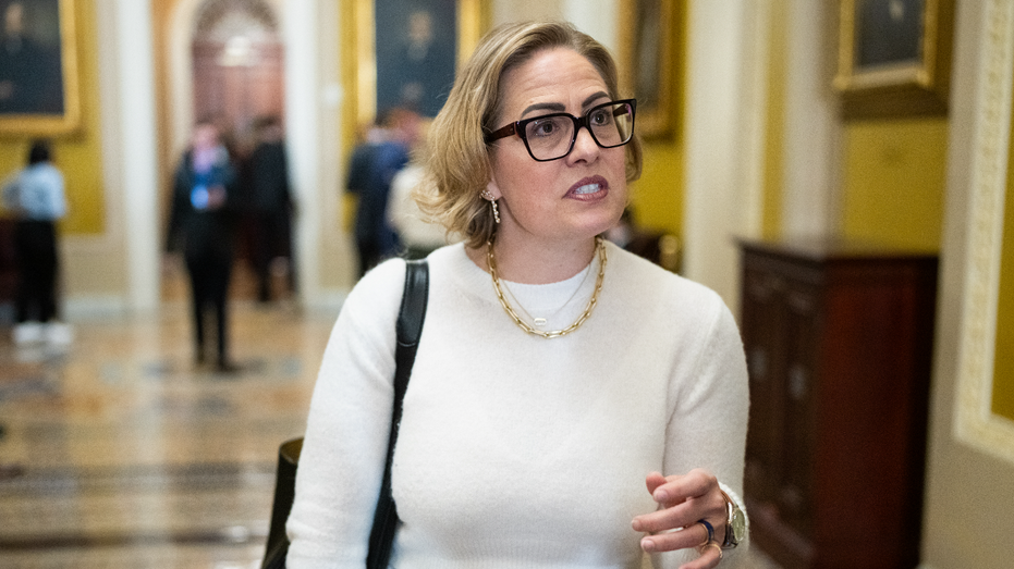 court-filings-reveal-kyrsten-sinema-had-sex-multiple-times-with-married-bodyguard-while-serving-as-senator