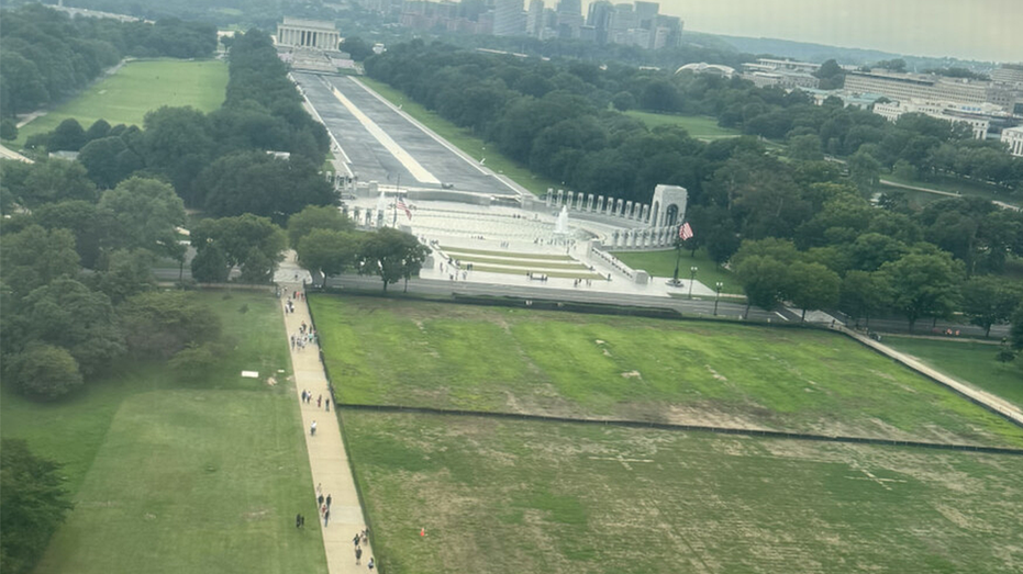 trump-blames-vandals-for-dead-grass-on-national-mall-where-he-hosted-4th-of-july-celebration
