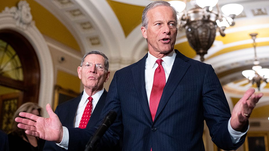 thune-aligned-groups-unleash-historic-war-chest-to-defend-senate-majority:-‘winning-message’