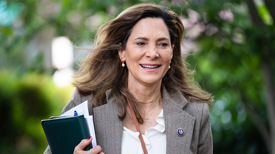 house-gop-lawmaker-under-fire-by-fellow-republicans-after-ad-bashing-trump-on-immigration