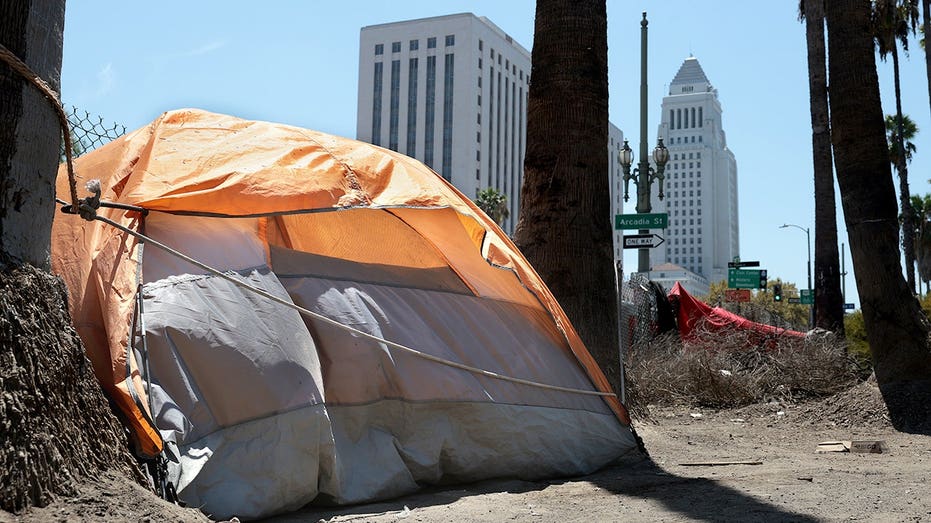 la-homelessness-fraud-cases-expose-deeper-problem-than-stolen-millions,-oversight-hawk-warns