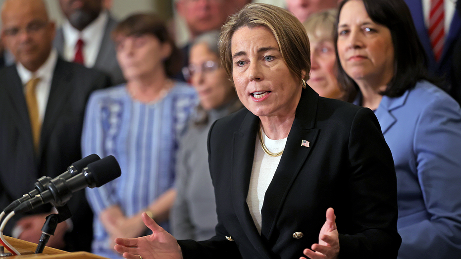 blue-state-gov-ignites-online-firestorm-with-plan-to-send-gov’t-into-homes-of-newborn-babies:-‘lunatic-libs’