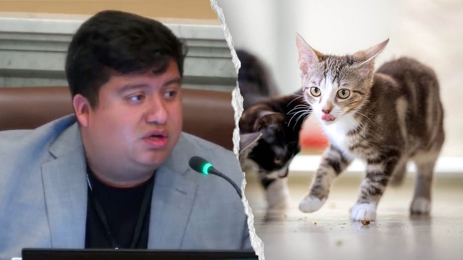blue-state-councilman-mocked-after-claiming-self-driving-cars-are-‘murdering’-pets:-‘hide-your-cats’