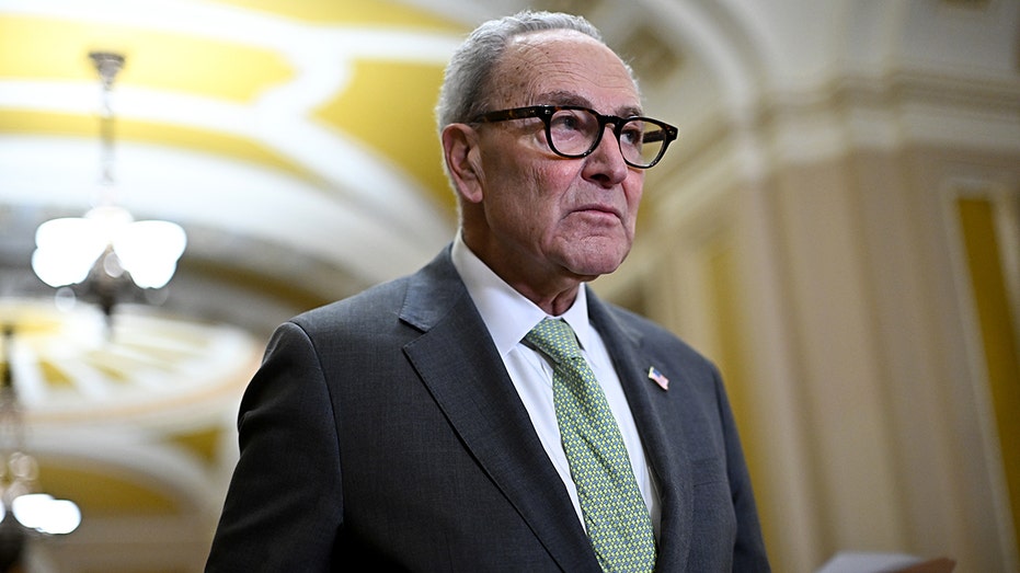 schumer-says-he’s-not-going-anywhere,-but-his-own-candidates-aren’t-ready-to-back-him